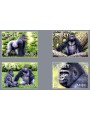 JERSEY 2012 Il gorilla Jambo - Jambo the Gorilla 4v