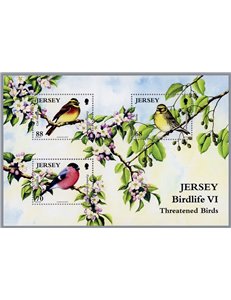 JERSEY 2012 Uccelli rari (6ª serie) BF MNH** - BF108