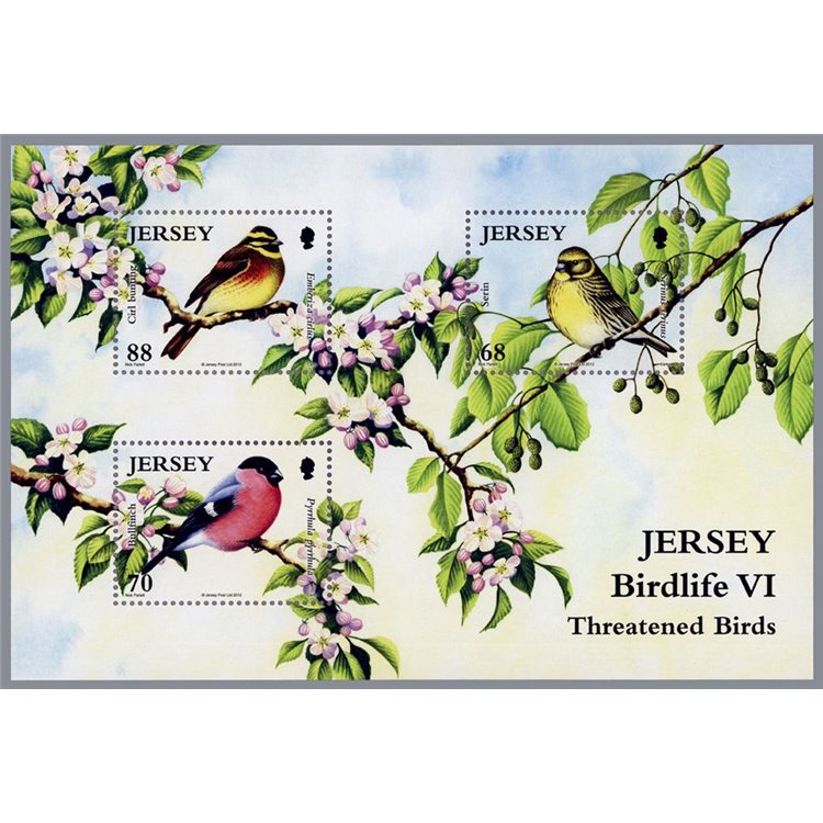 JERSEY 2012 Rare birds (6th series) s/s MNH** - s/s108