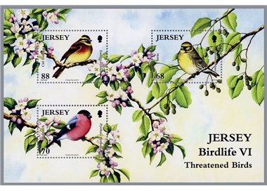JERSEY 2012 Rare birds (6th series) s/s MNH** - s/s108