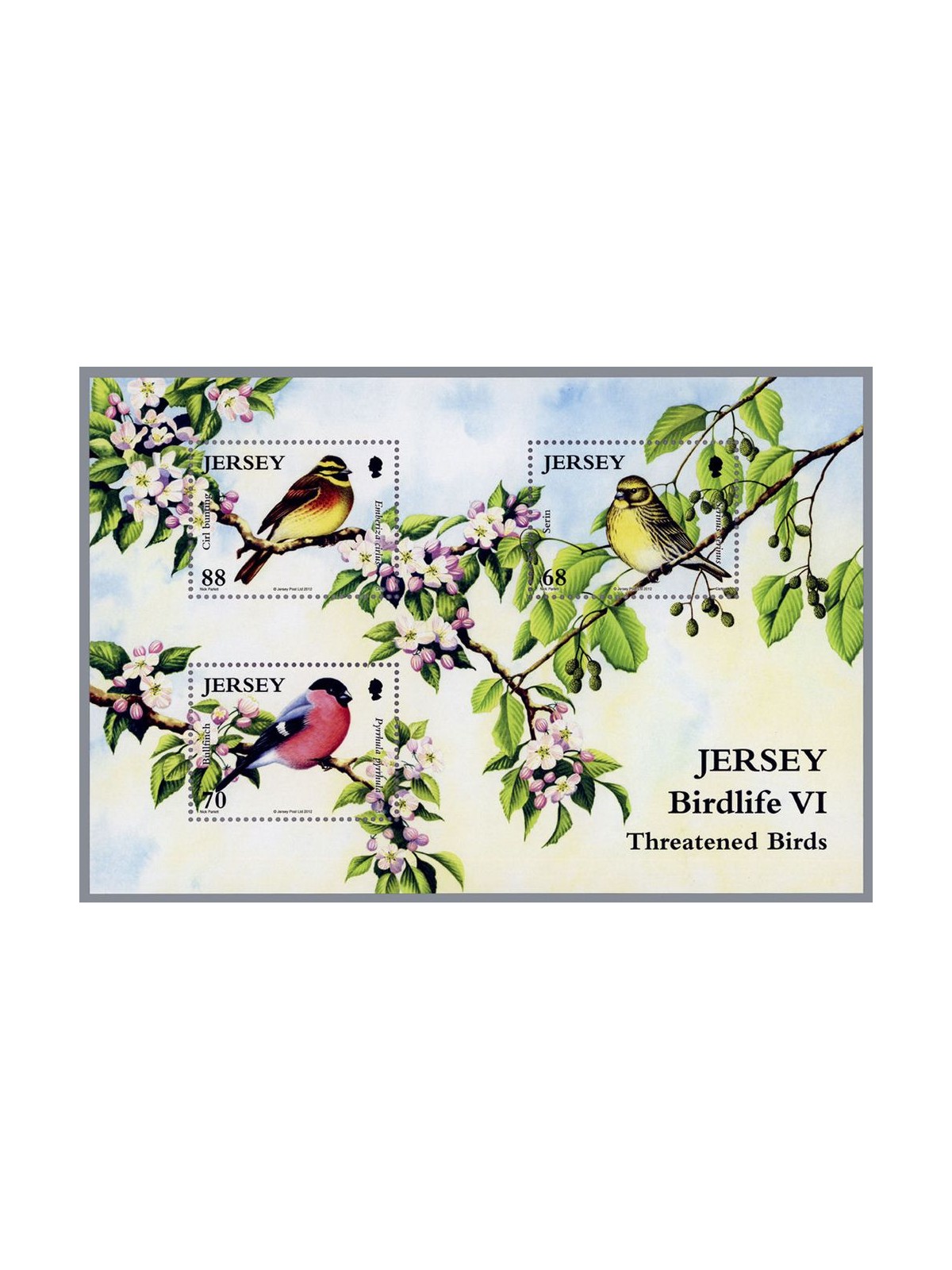 JERSEY 2012 Uccelli rari (6ª serie) BF MNH** - BF108
