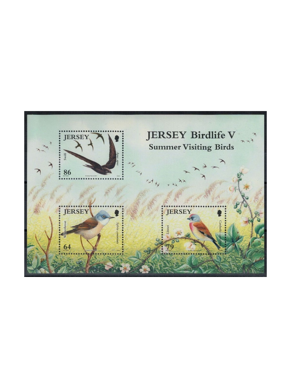 JERSEY 2011 Migratory Birds (5th series) s/s MNH** - s/s100