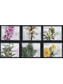 MADERA 2000 Flora della foresta Laurissilva 6v MNH**