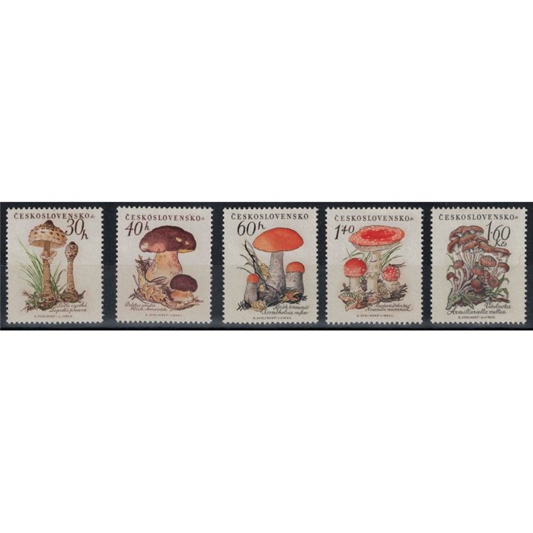 CECOSLOVACCHIA 1958 Funghi - Mushrooms 5v MNH**