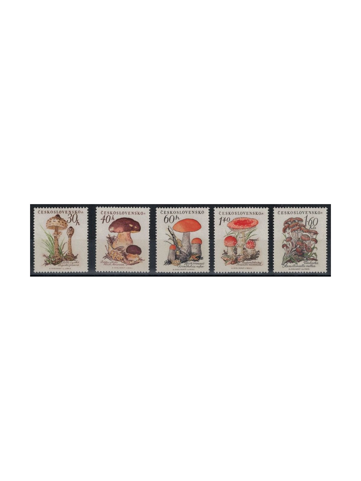 Czechoslovakia 1958 Mushrooms 5v MNH**