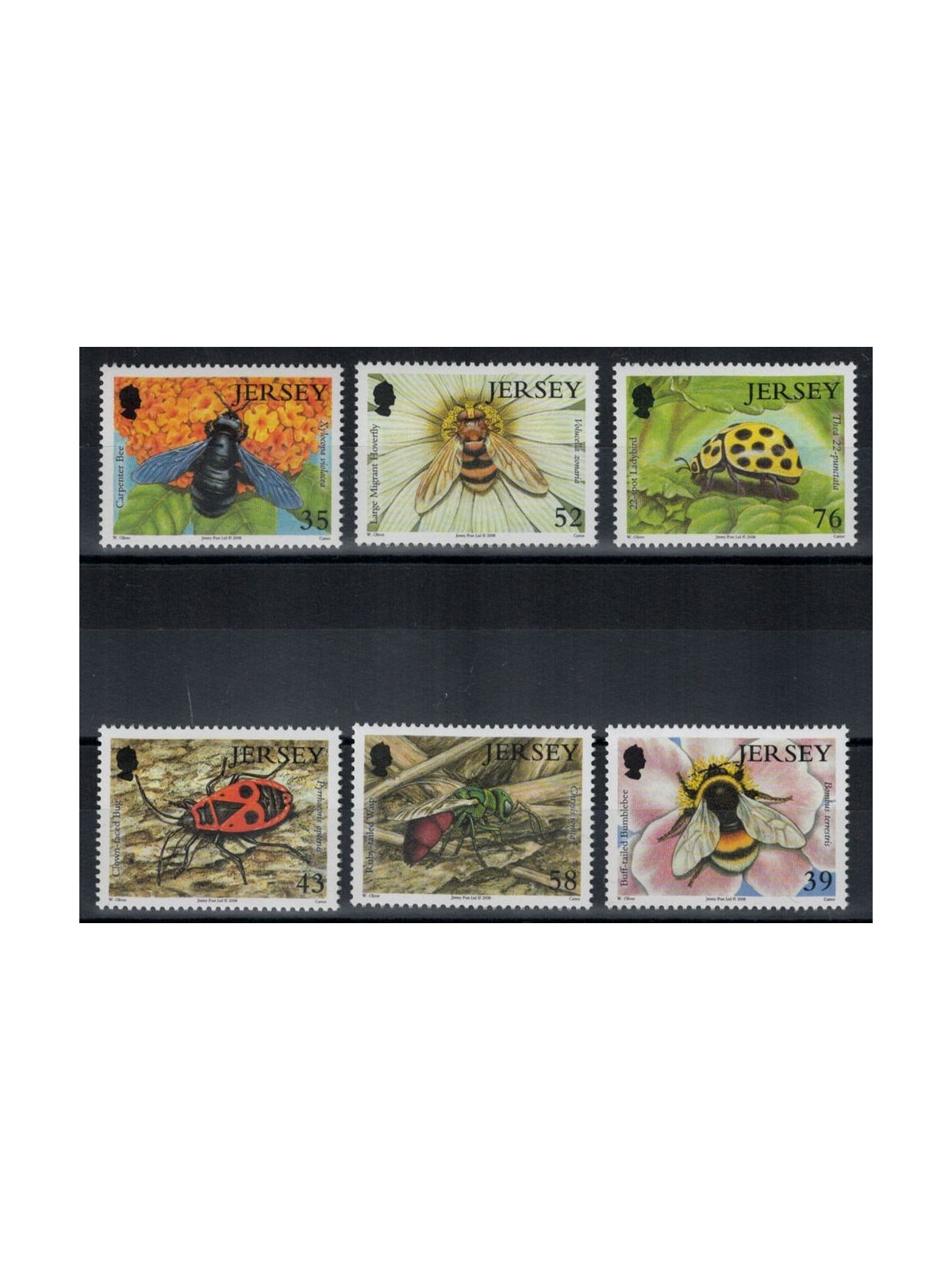 JERSEY 2008 Insects 6v