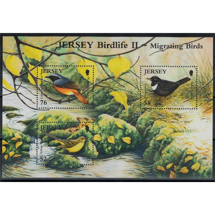 JERSEY 2008 Uccelli migratori (2ª serie) BF MNH** - BF79