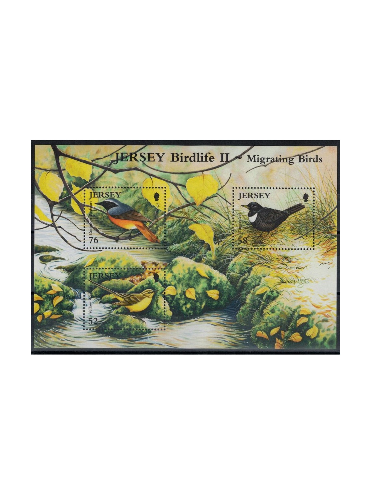 JERSEY 2008 Migratory Birds (2nd series) s/s MNH** - s/s79