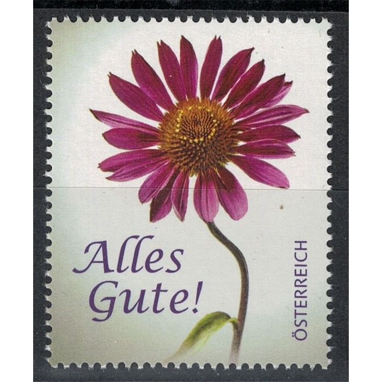 AUSTRIA 2013 Fiori, echinacea 1v MNH**