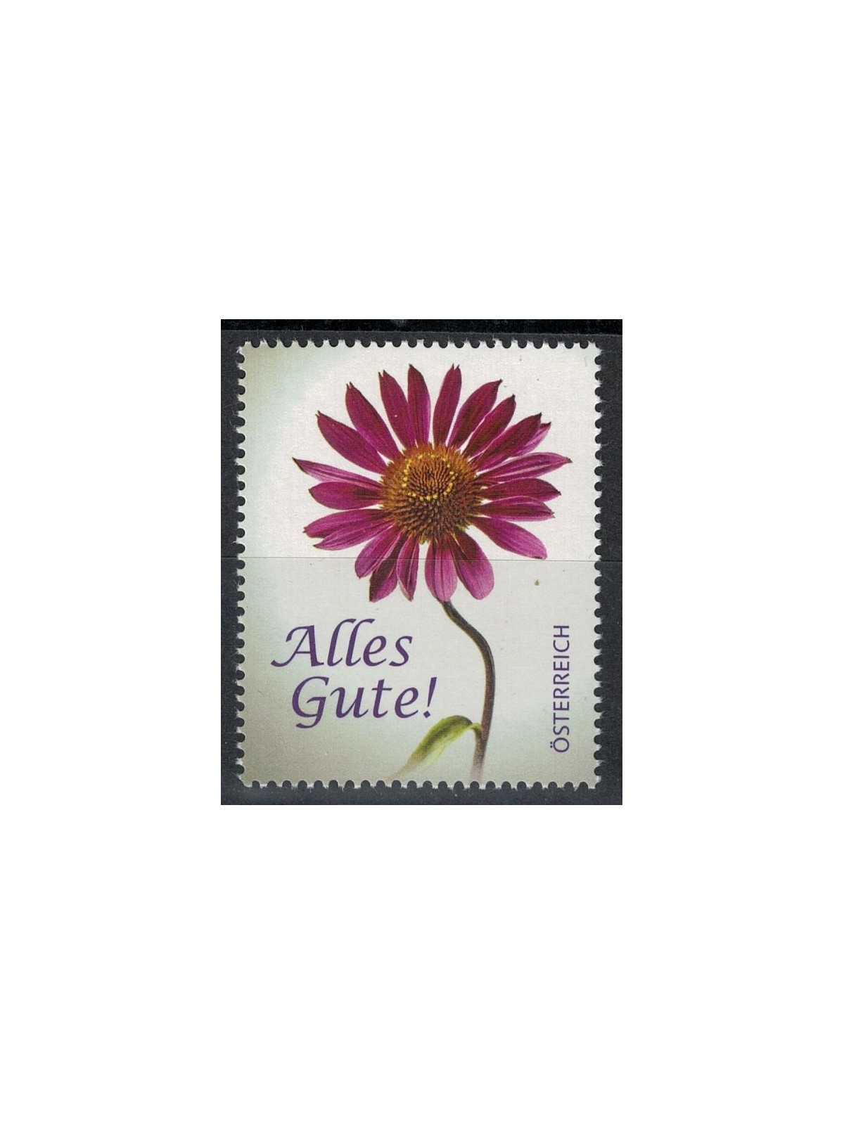 AUSTRIA 2013 Fiori, echinacea 1v MNH**