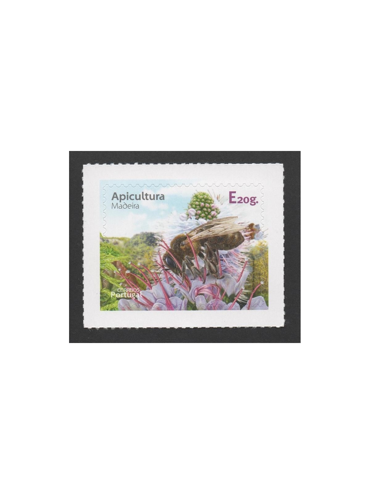 MADEIRA 2014 Beekeeping MNH**