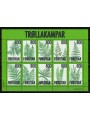 FAEROE ISLANDS 2008 Flora, Ferns 1 s/s MNH**