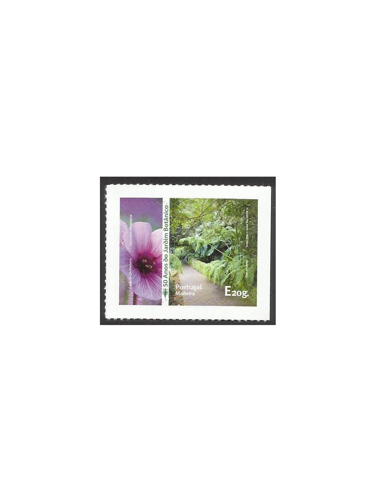 MADERA 2014 Cinquantenario del giardino botanico MNH**