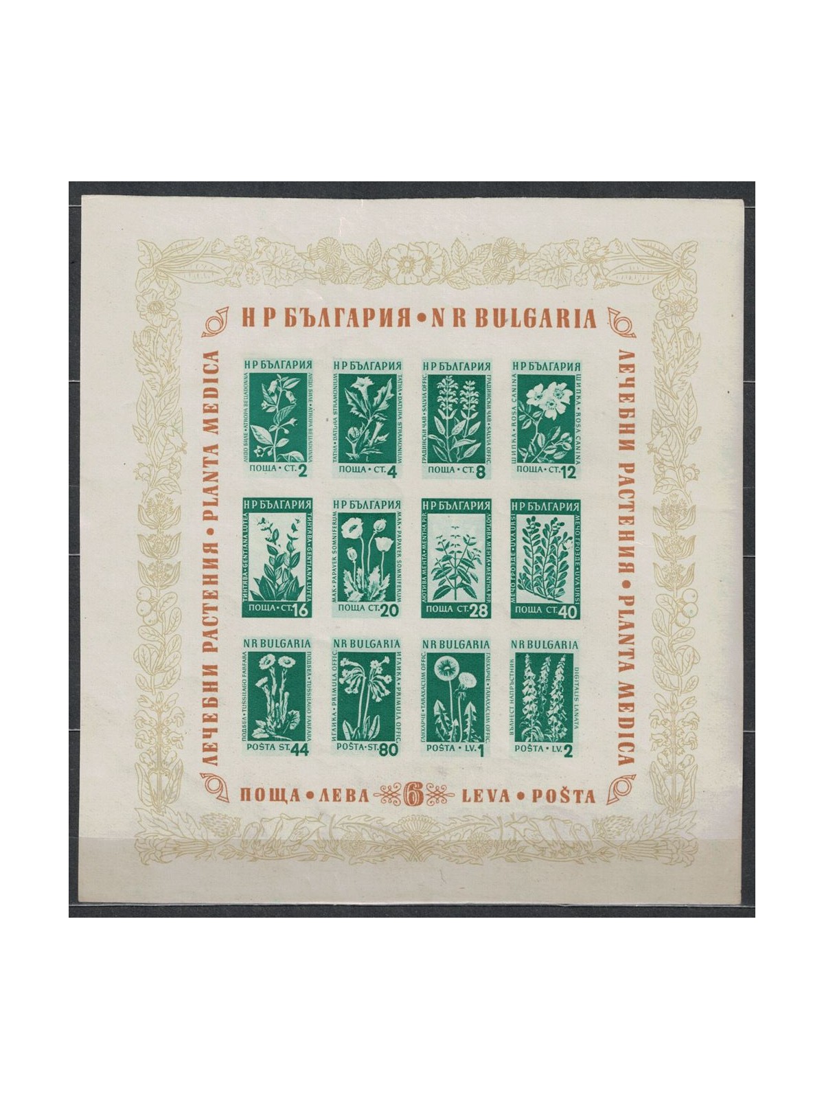 BULGARIA 1953 Flowers and medicinal plants 1 s/s MNH**