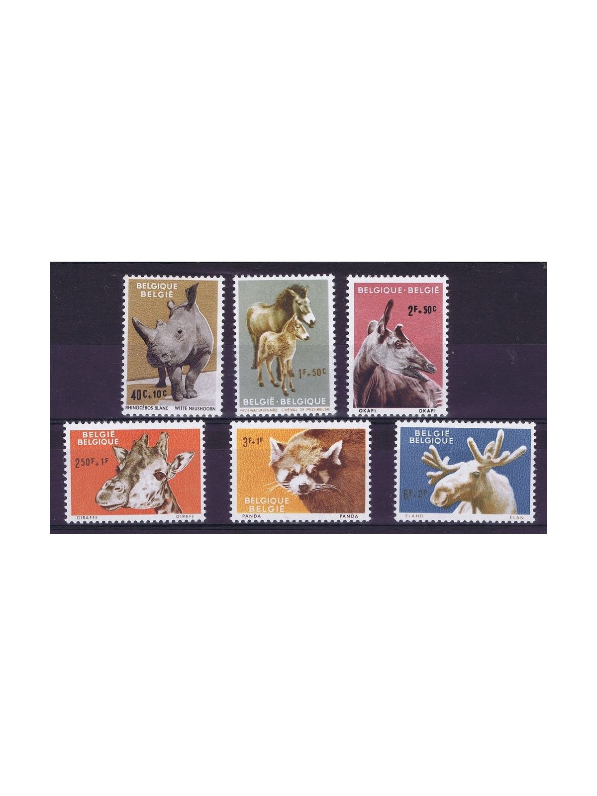 BELGIO 1961 Animali dello zoo di Anversa 6v MNH**
