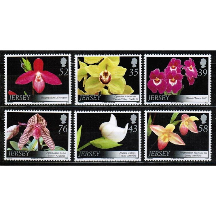 JERSEY 2008 Flowers, orchids 6v MNH**