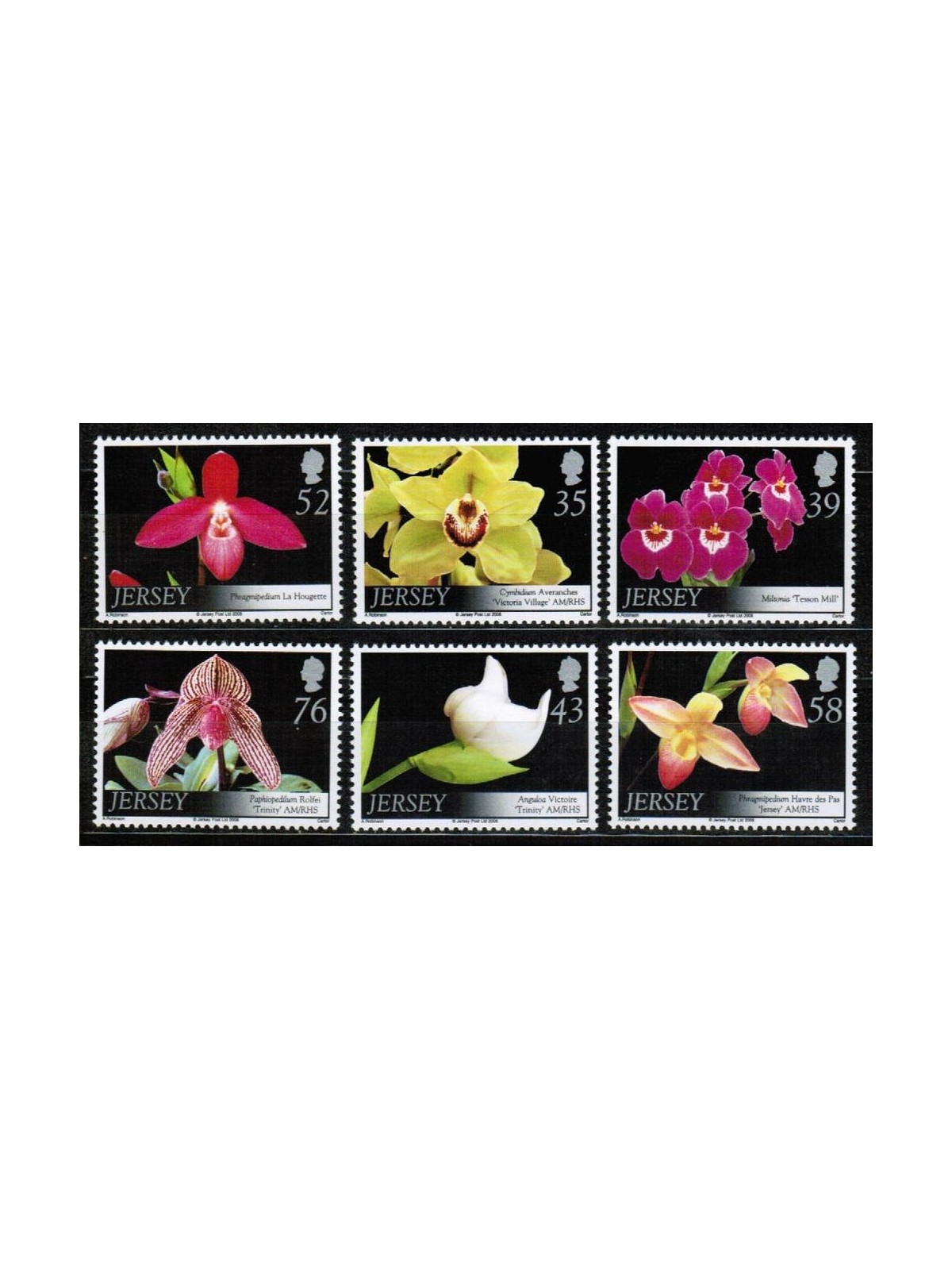 JERSEY 2008 Fiori, orchidee 6v MNH**