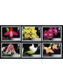 JERSEY 2008 Fiori, orchidee 6v MNH**