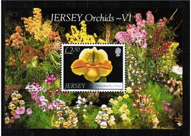 JERSEY 2008 Flowers, orchids 1 s/s MNH**