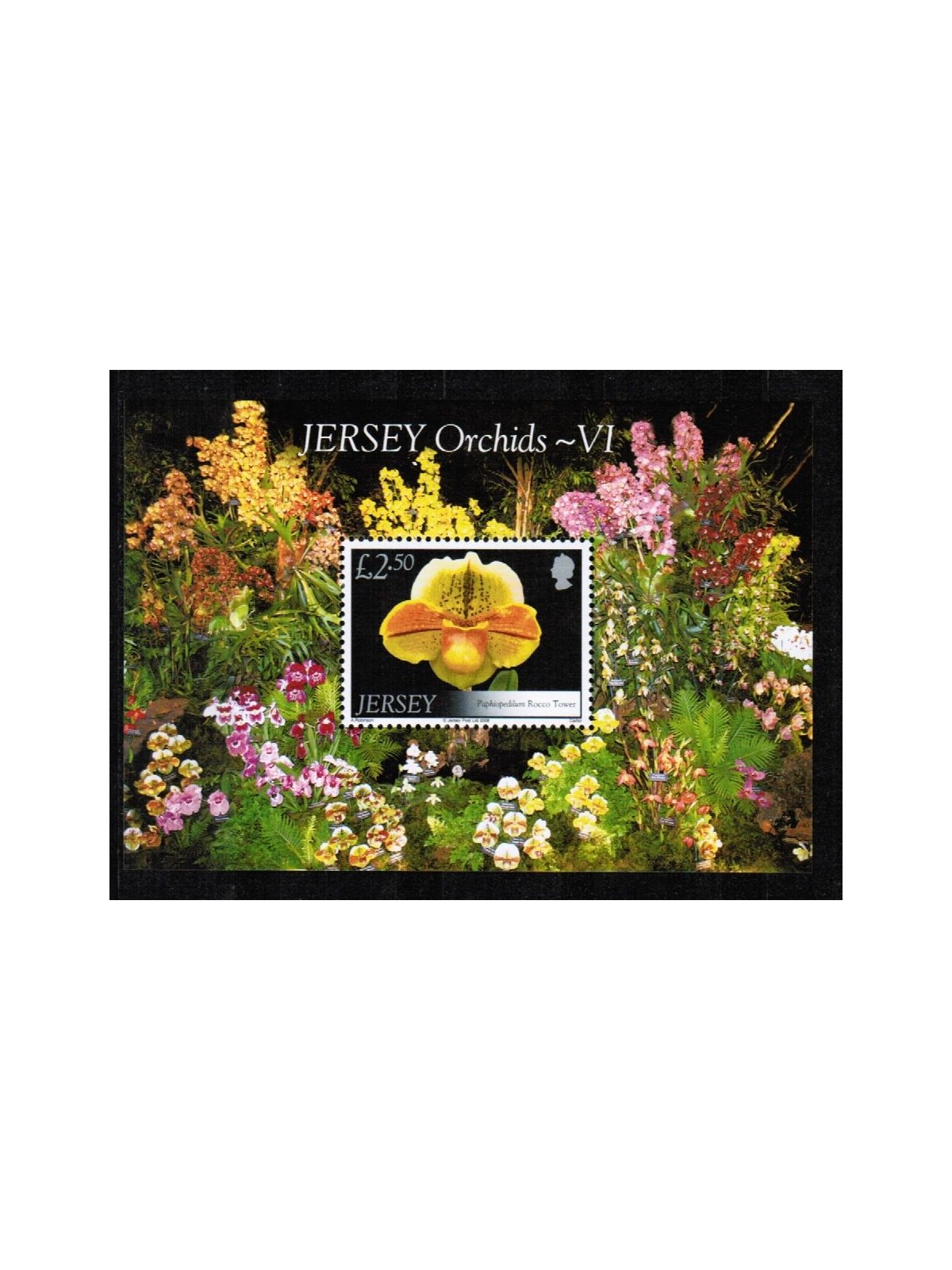 JERSEY 2008 Fiori, orchidee 1 BF MNH**