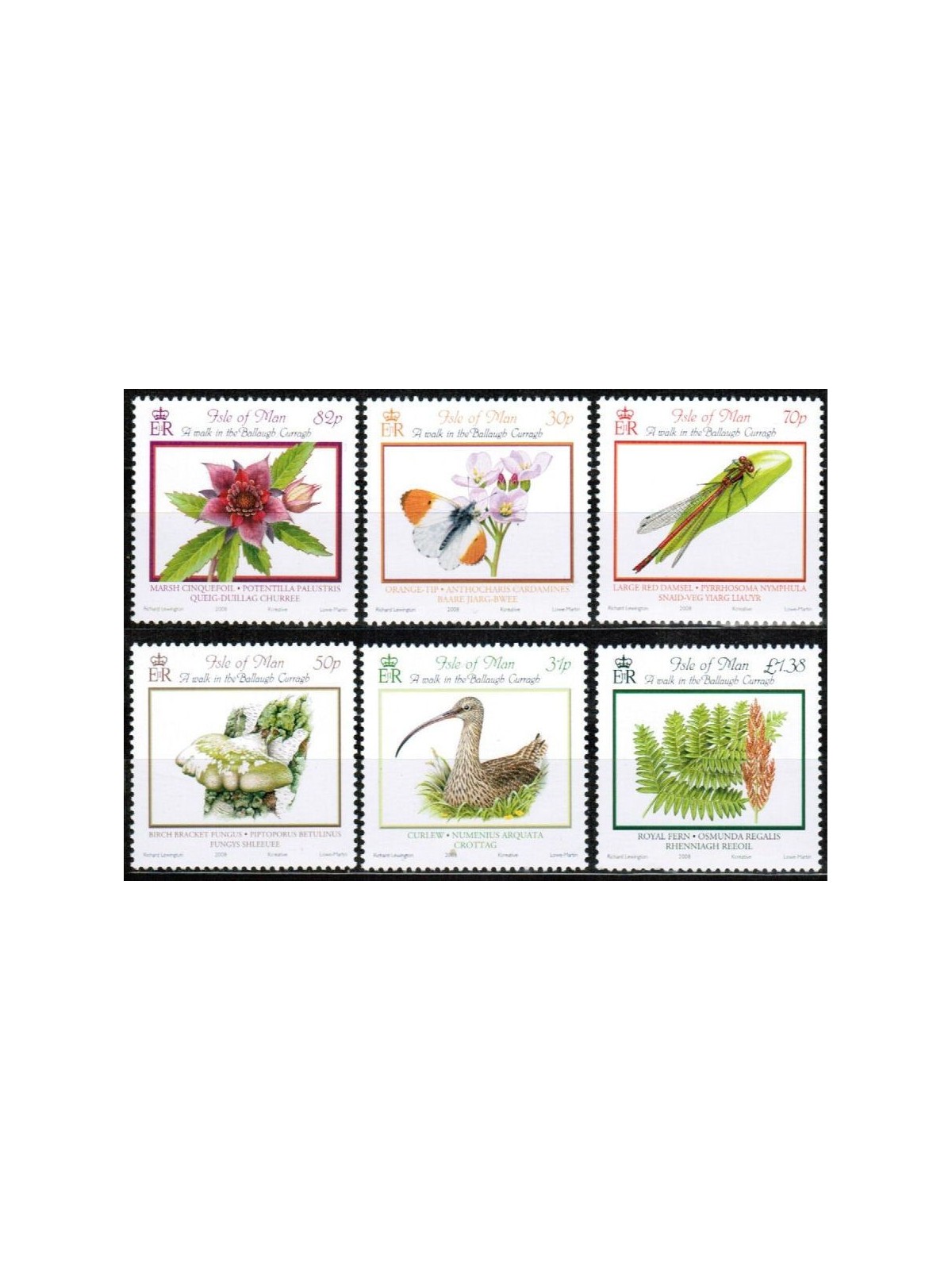 MAN 2008 Fauna e flora 6v MNH**
