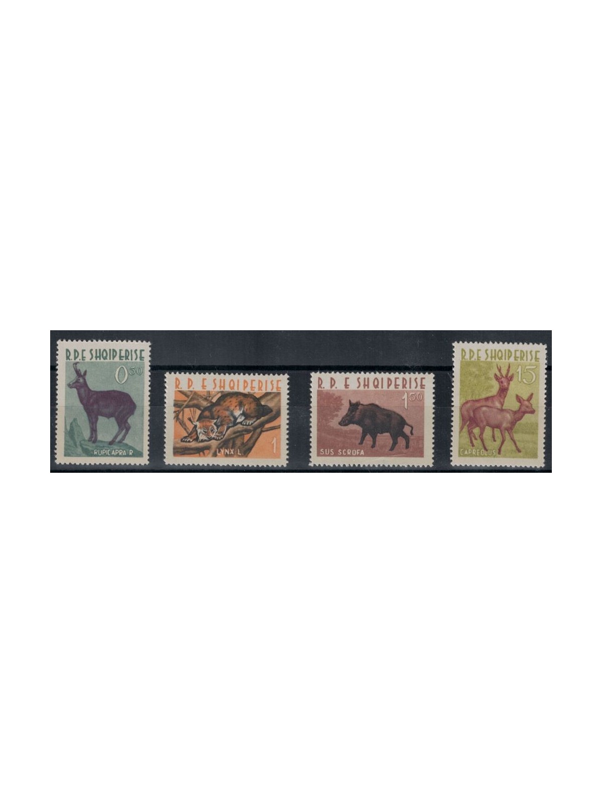 ALBANIA 1962 Fauna, animals 4v MNH**