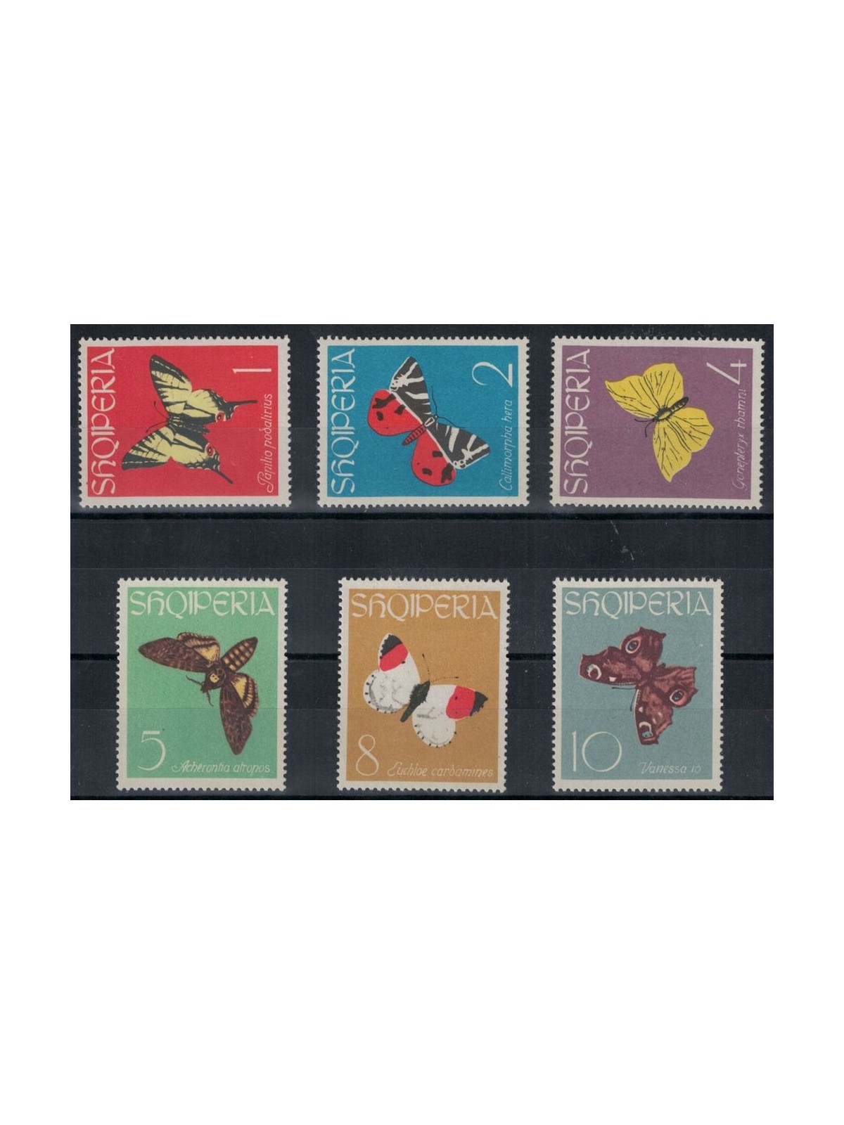 ALBANIA 1963 Fauna, butterflies 6v MNH**