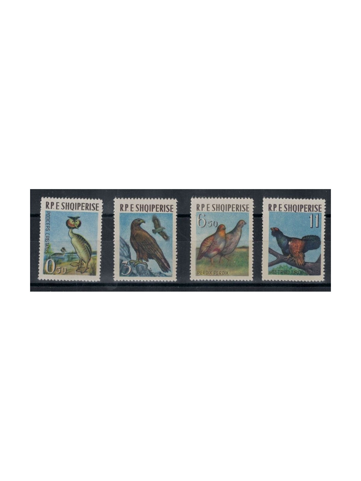 ALBANIA 1963 Fauna, uccelli 4v MNH**