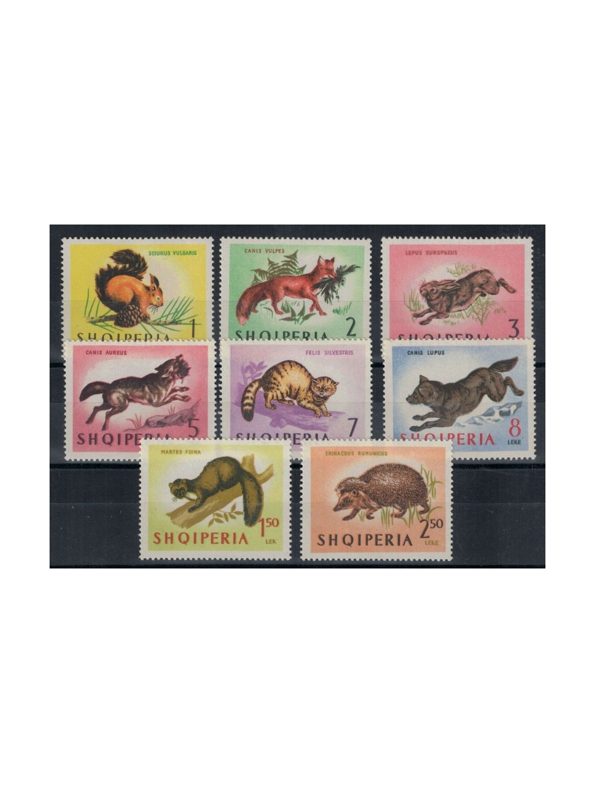 ALBANIA 1964 Fauna, animali 8v MNH**