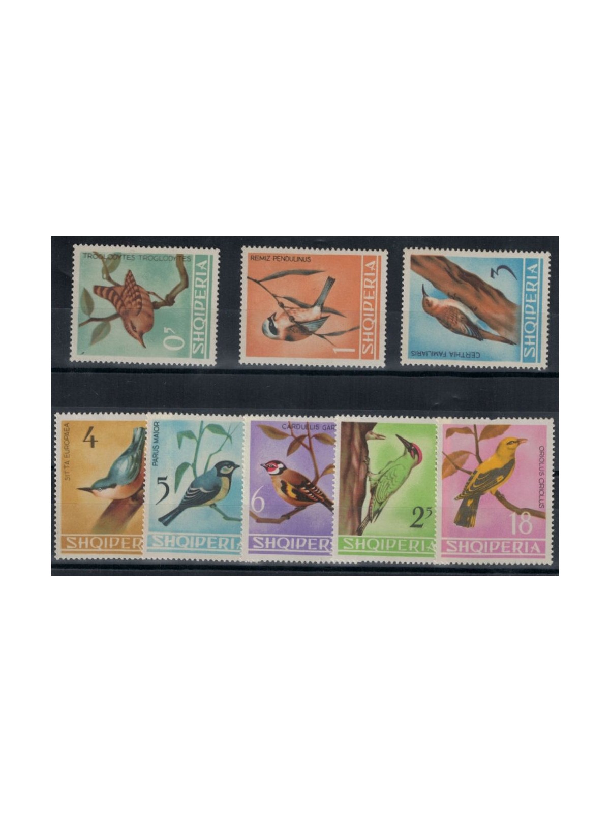 ALBANIA 1964 Fauna, uccelli 8v MNH**