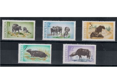 ALBANIA 1965 Bufali d'acqua 5v MNH**