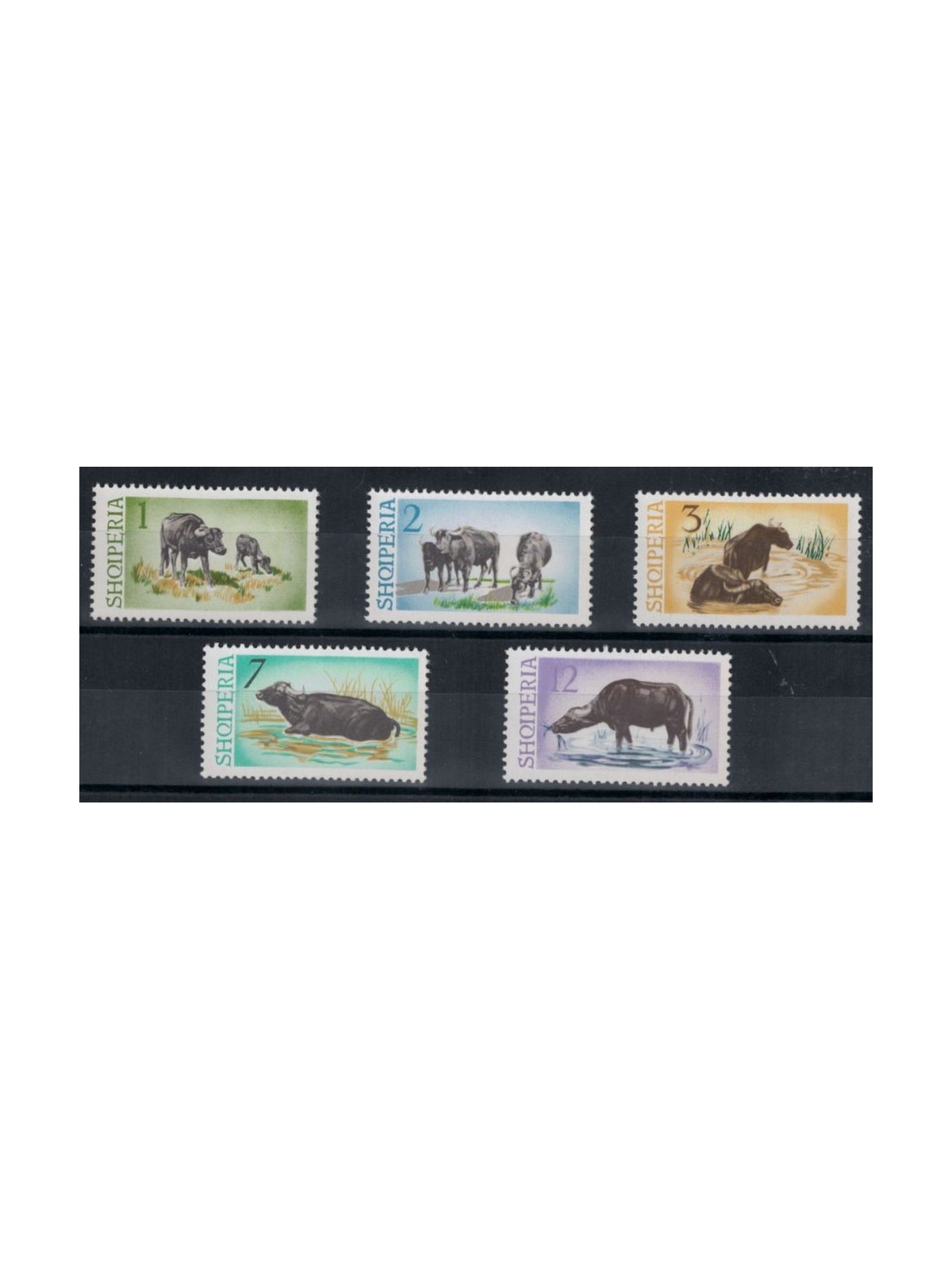 ALBANIA 1965 Bufali d'acqua 5v MNH**