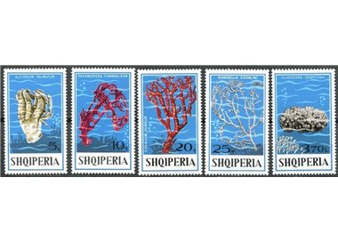 ALBANIA 1975 Corals 5v MNH**
