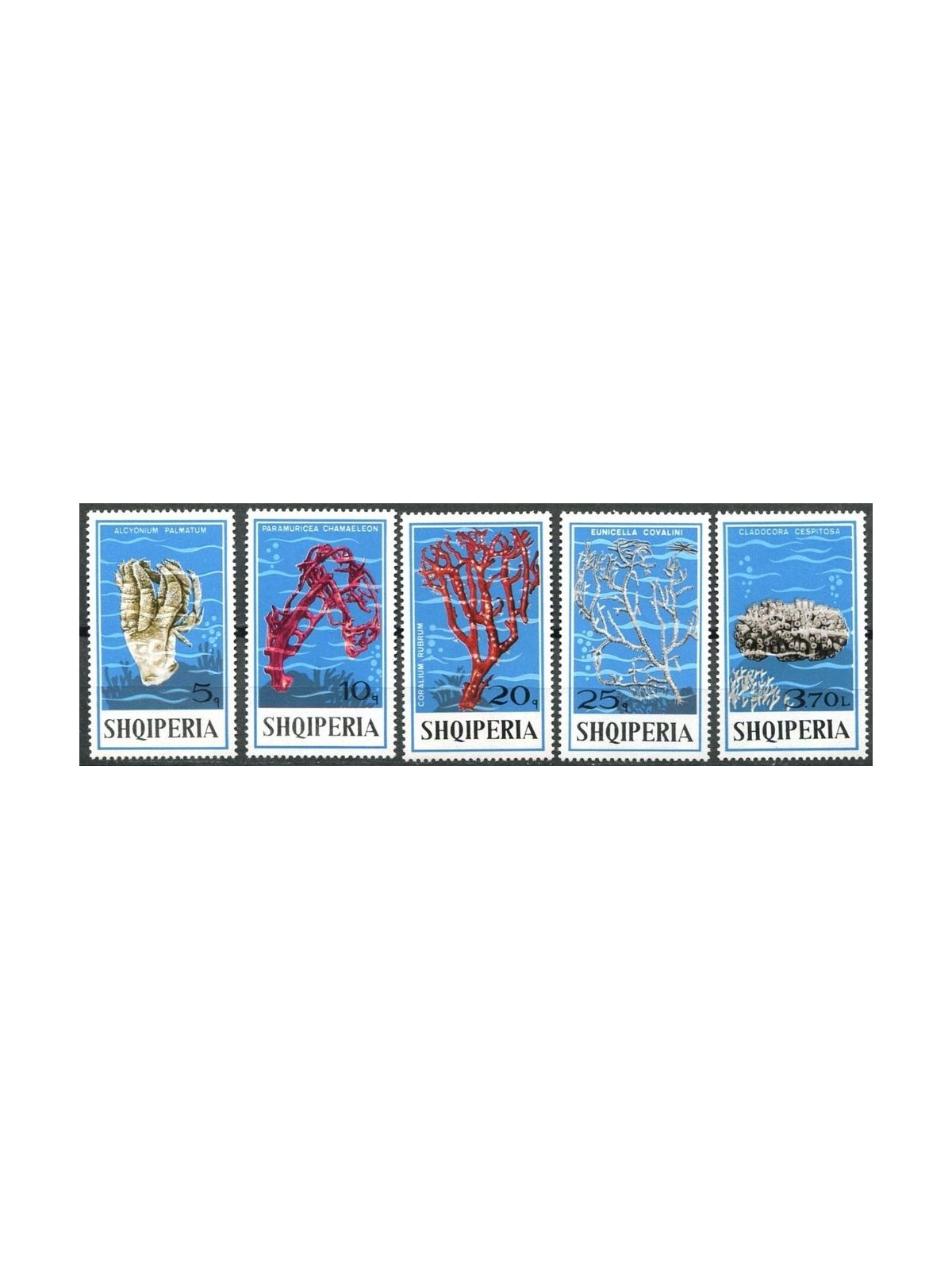 ALBANIA 1975 Coralli 5v MNH**
