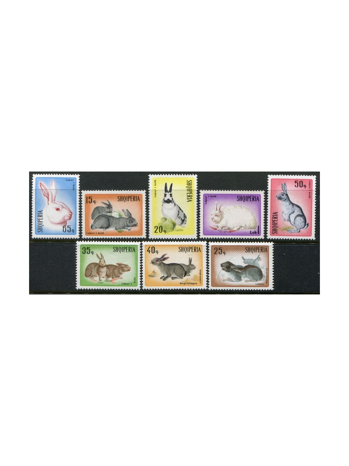 ALBANIA 1967 Fauna, conigli 8v MNH**