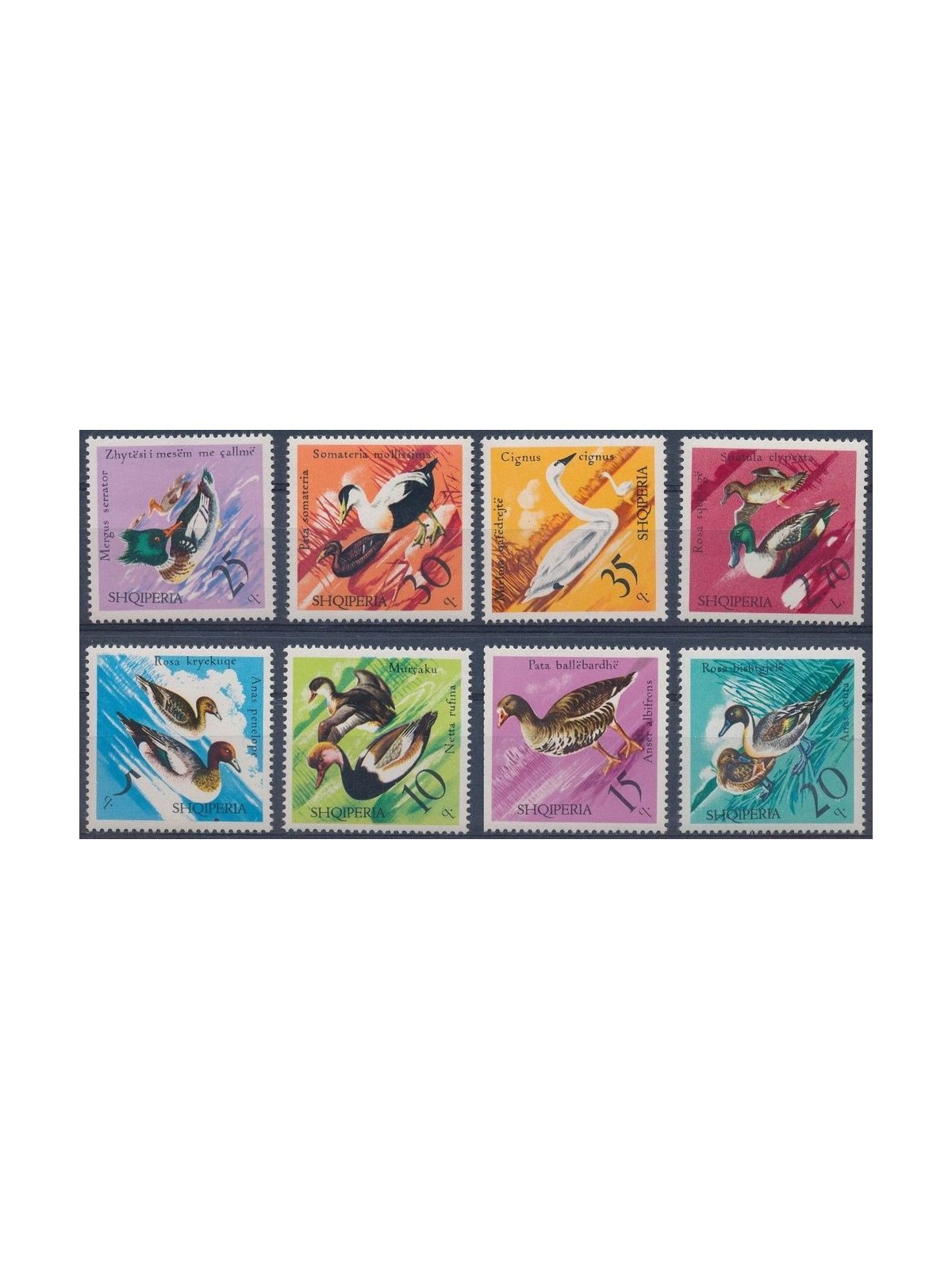 ALBANIA 1975 Waterfowl 8v MNH**