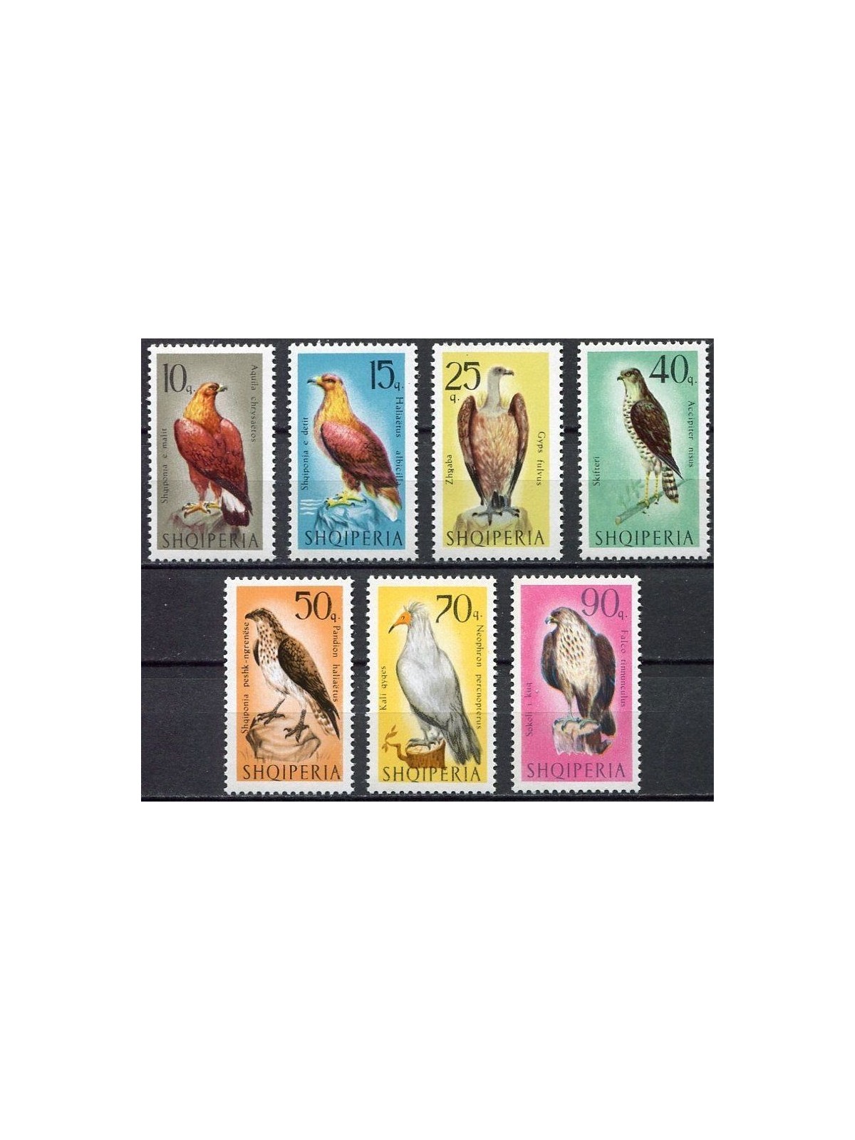 ALBANIA 1966 Fauna, birds of prey 7v MNH**