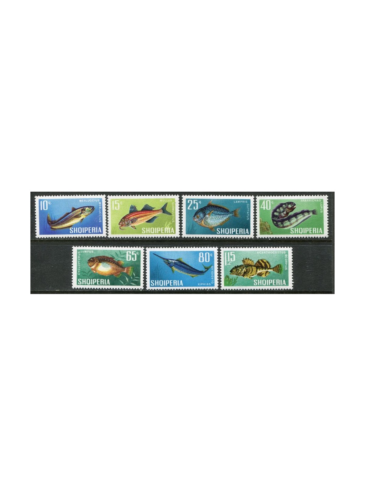 ALBANIA 1967 Fauna marina, pesci 7v MNH**