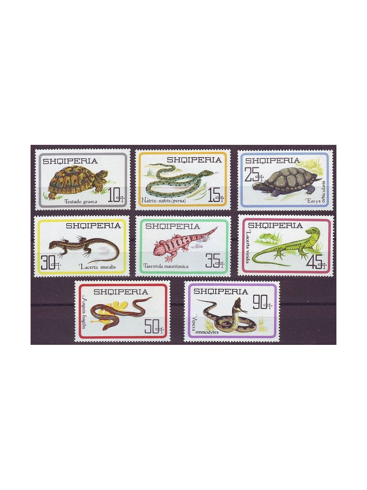ALBANIA 1966 Fauna, reptiles 8v MNH**