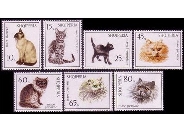 ALBANIA 1966 Fauna, cats 7v MNH**
