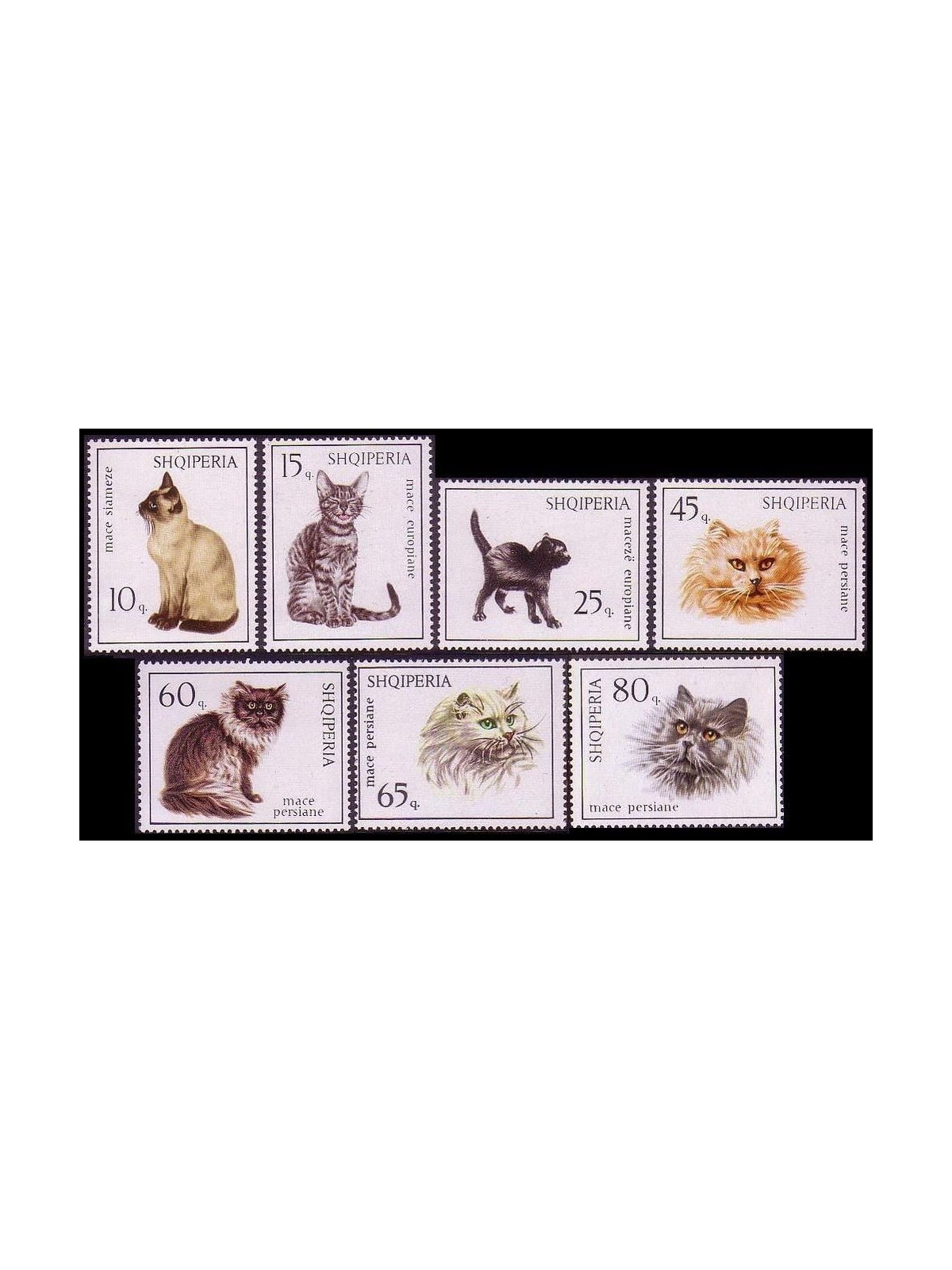 ALBANIA 1966 Fauna, cats 7v MNH**