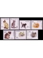 ALBANIA 1966 Fauna, cats 7v MNH**