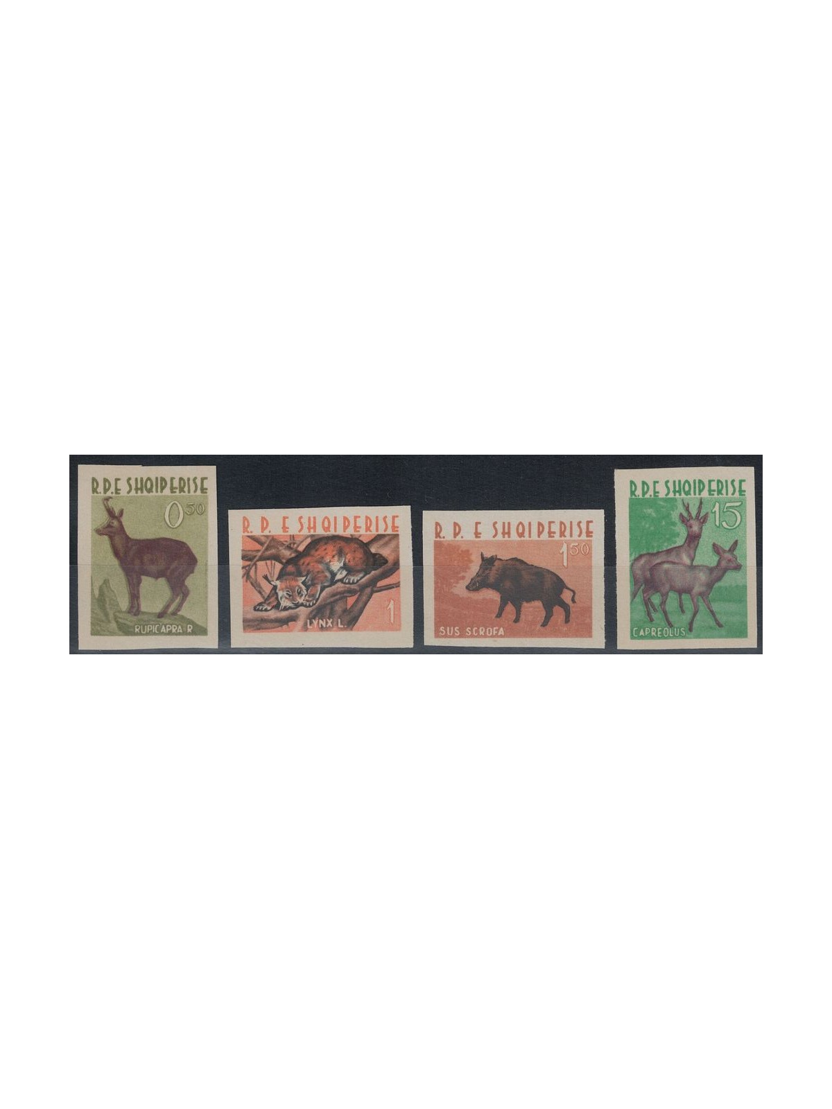 ALBANIA 1962 Fauna, animals 4v MNH**