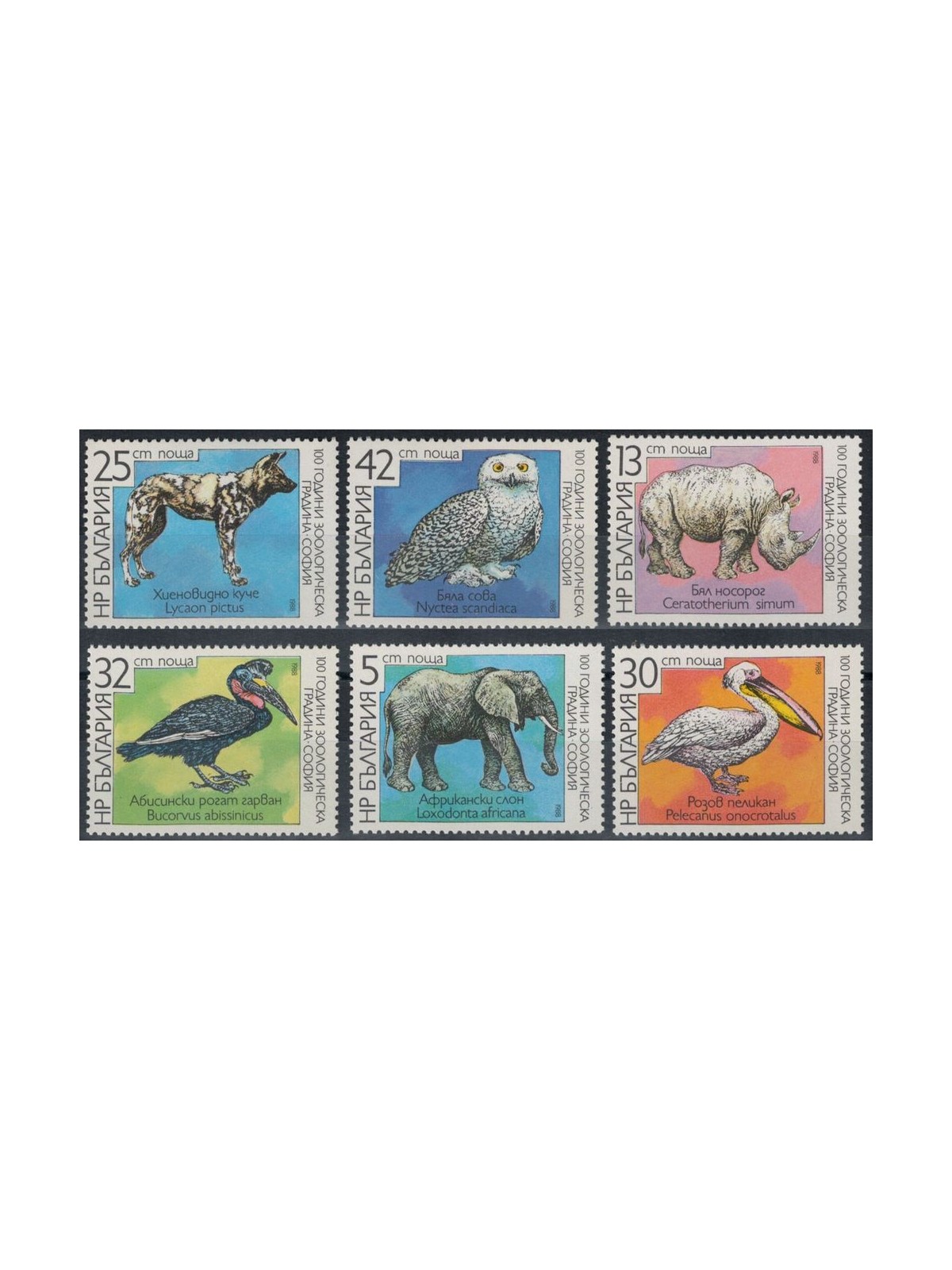 BULGARIA 1988 Zoological Garden 6v MNH**