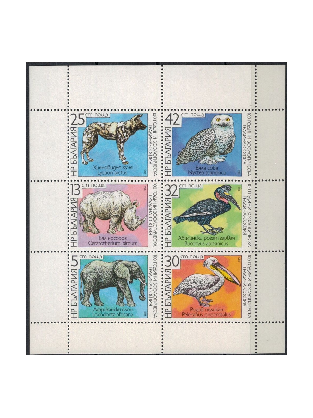 BULGARIA 1988 Giardino zoologico MF MNH**