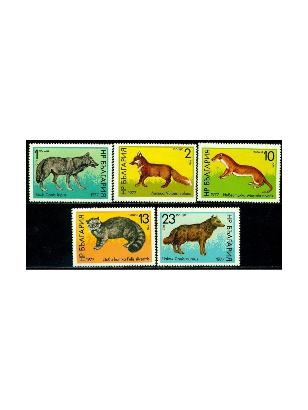 BULGARIA 1977 Fauna, animals 5v MNH**