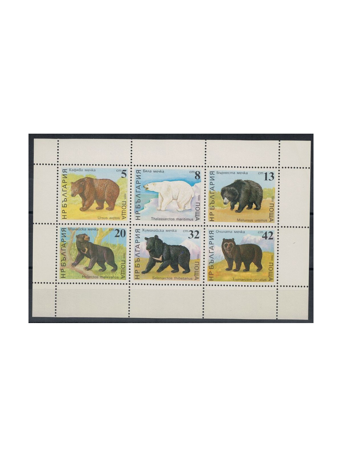 BULGARIA 1988 Fauna, orsi 6v MNH**