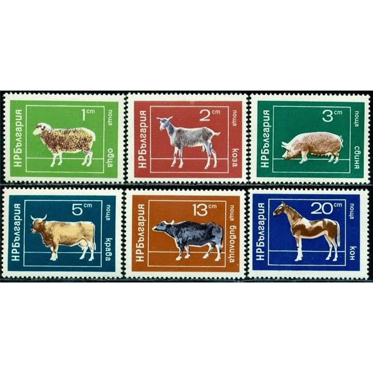 BULGARIA 1974 Fauna, animali domestici 6v MNH**