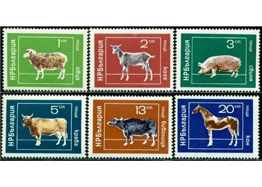 BULGARIA 1974 Fauna, domestic animals 6v MNH**