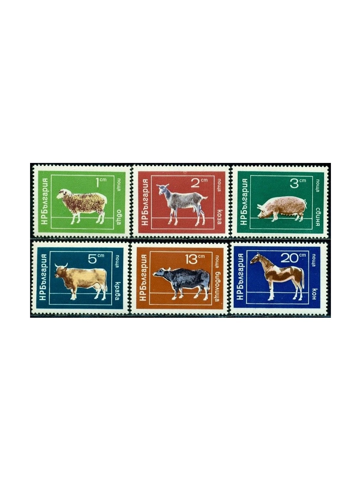BULGARIA 1974 Fauna, domestic animals 6v MNH**